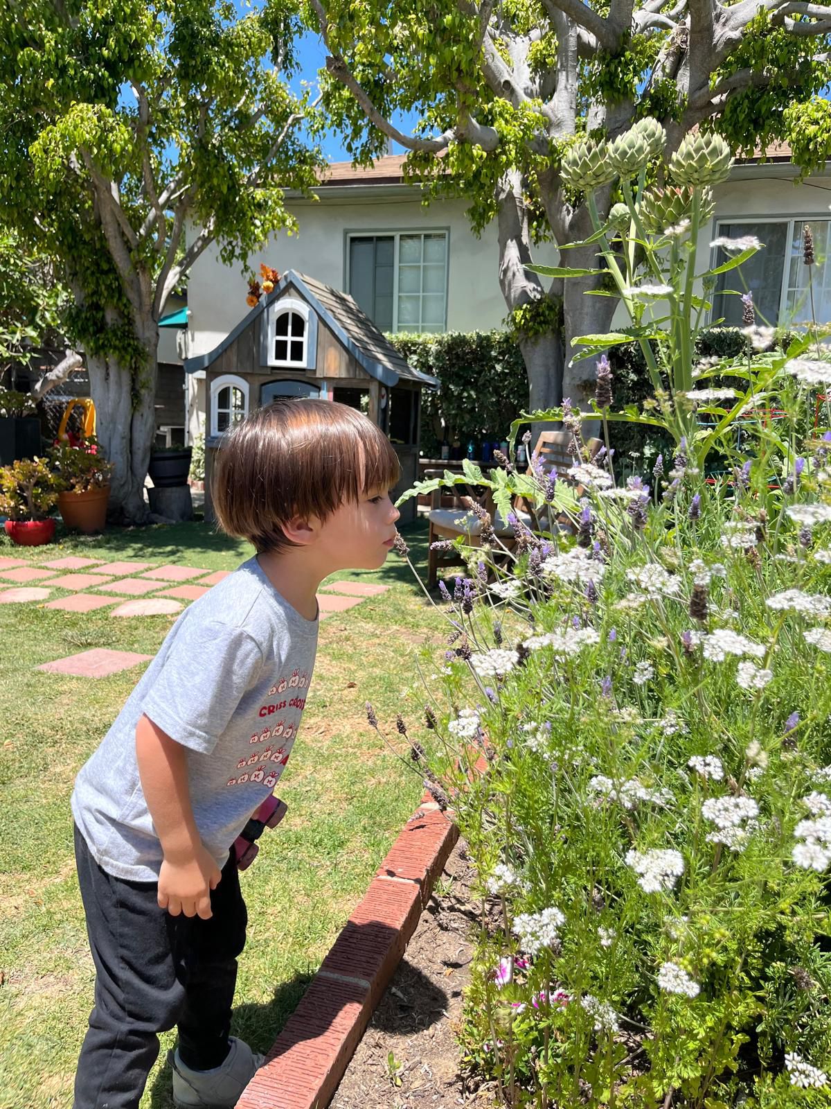 École Fleur de Vie space 4