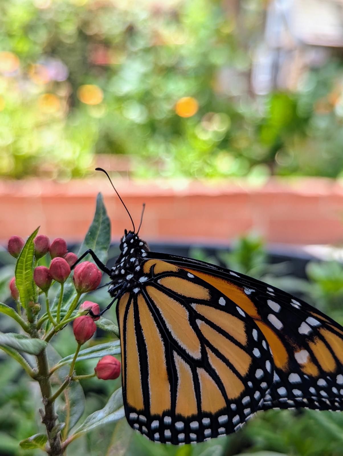 École Fleur de Vie space 6